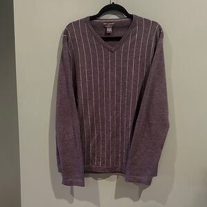 Banana Republic Dark Gray Metino Wool V-Neck Sweater